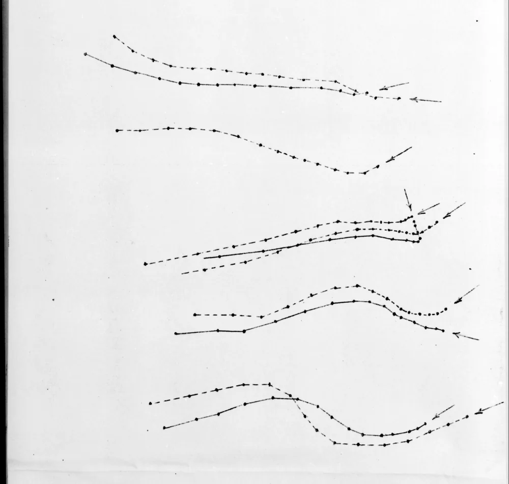 Gráfico com várias linhas pontilhadas e setas, mostrando o traçado quadro a quadro das trajetórias dos pontos no filme